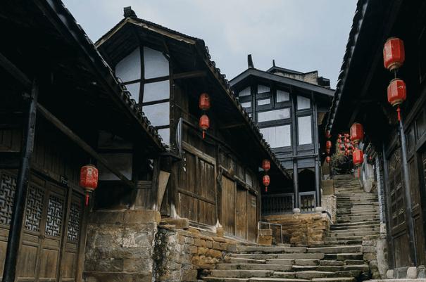 细胞分裂6
